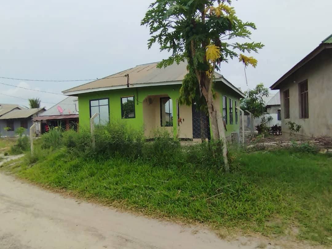 FB_IMG_1775465190118