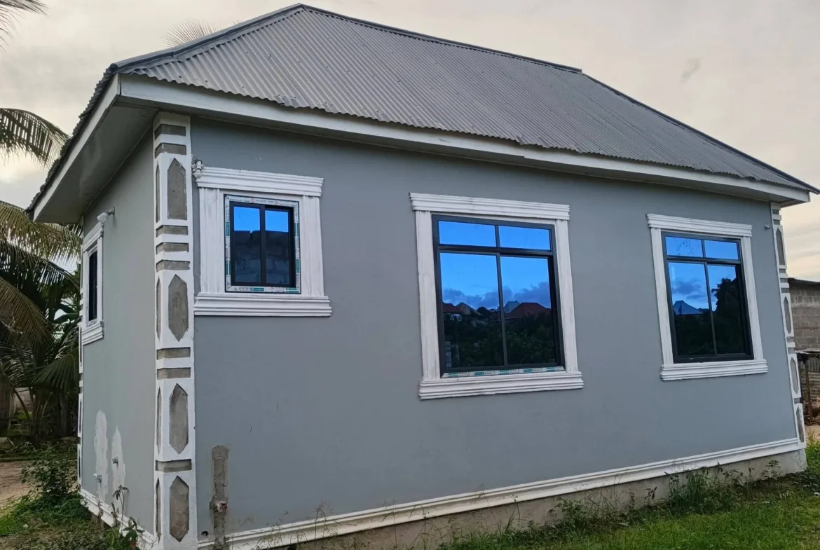 Nyumba inauzwa chanika zinguziwa